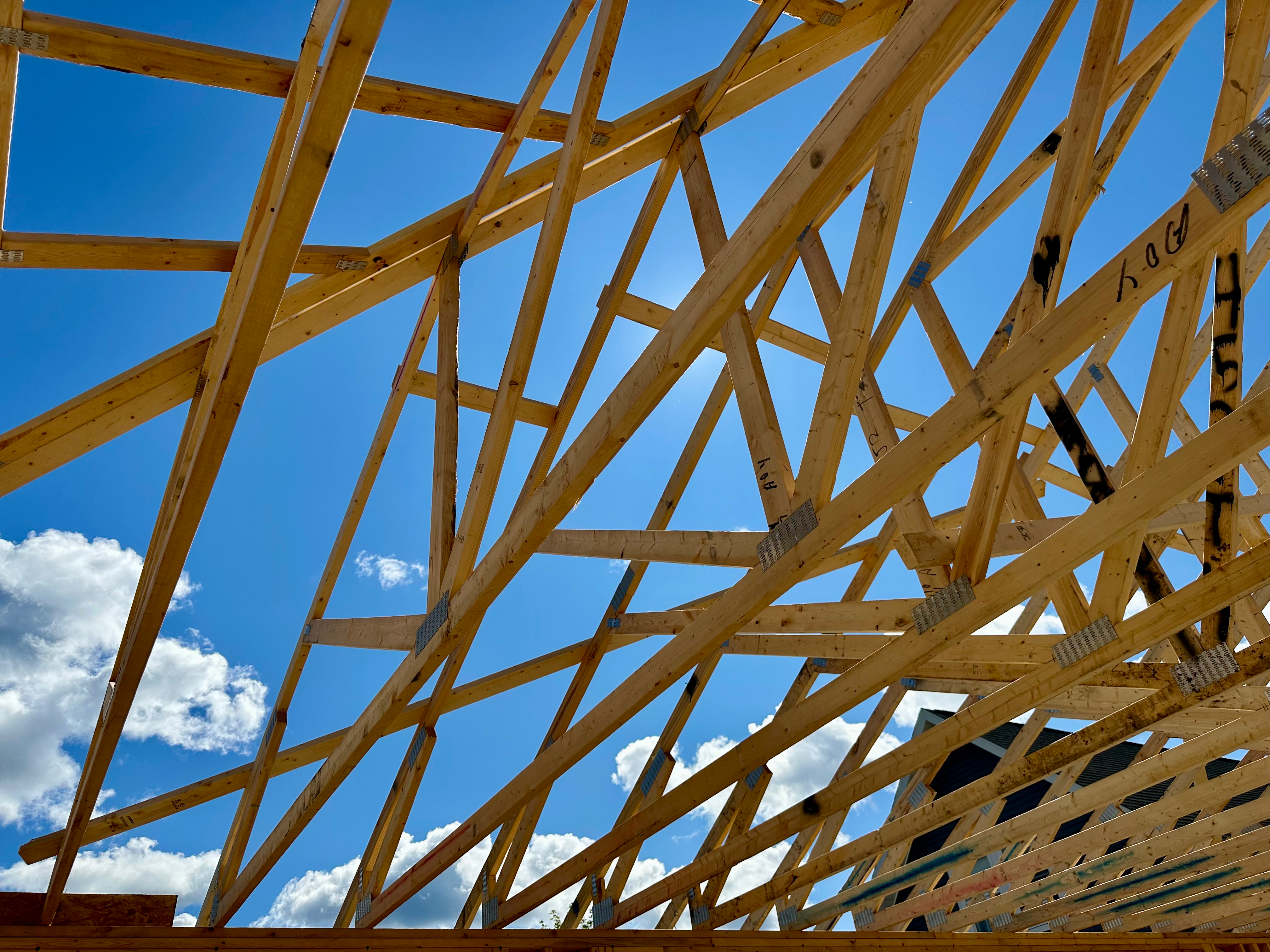Development in Progress — photo 3 of 5
